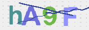 Gambar CAPTCHA