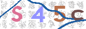 Gambar CAPTCHA